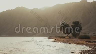 日落于海，棕榈树在海滩上，沙漠山脉在背景上，慢动作，4k